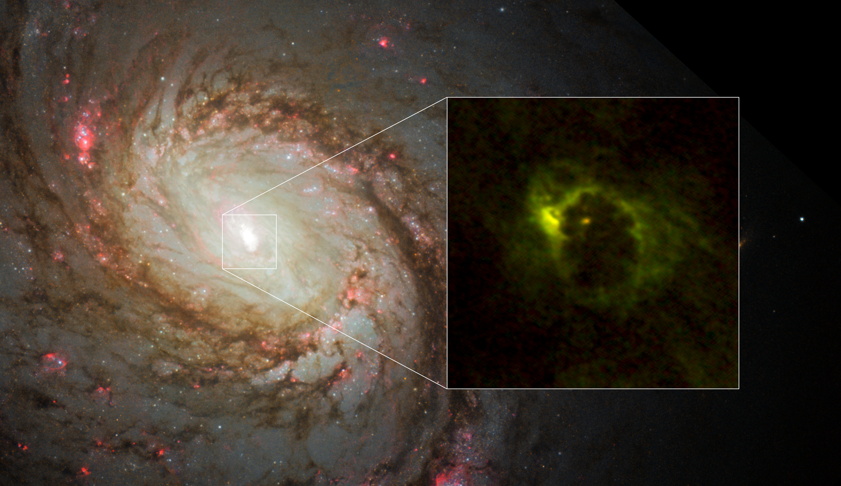 Черные дыры в ядрах галактик. Черная дыра с телескопа Хаббл. Ядро Галактики Млечный путь. Снимок черной дыры Хаббл. Галактика ic1101 чёрная дыра.