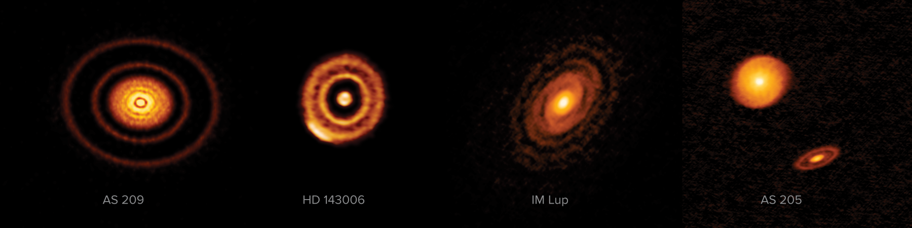 ALMA’s view of AS209, HD143006, IM Lup, AS205 
