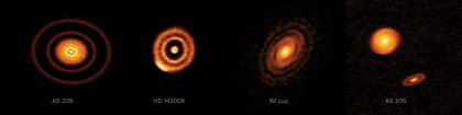 アルマ望遠鏡がとらえたAS209、HD143006、おおかみ座IM星、AS205
