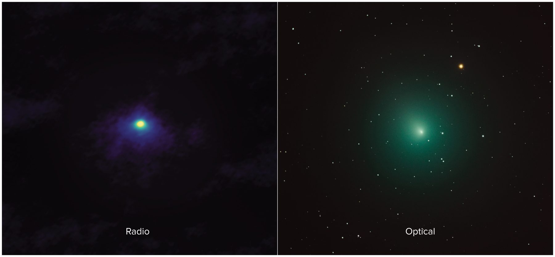 ニュース アルマ望遠鏡で見たウィルタネン彗星 アルマ望遠鏡