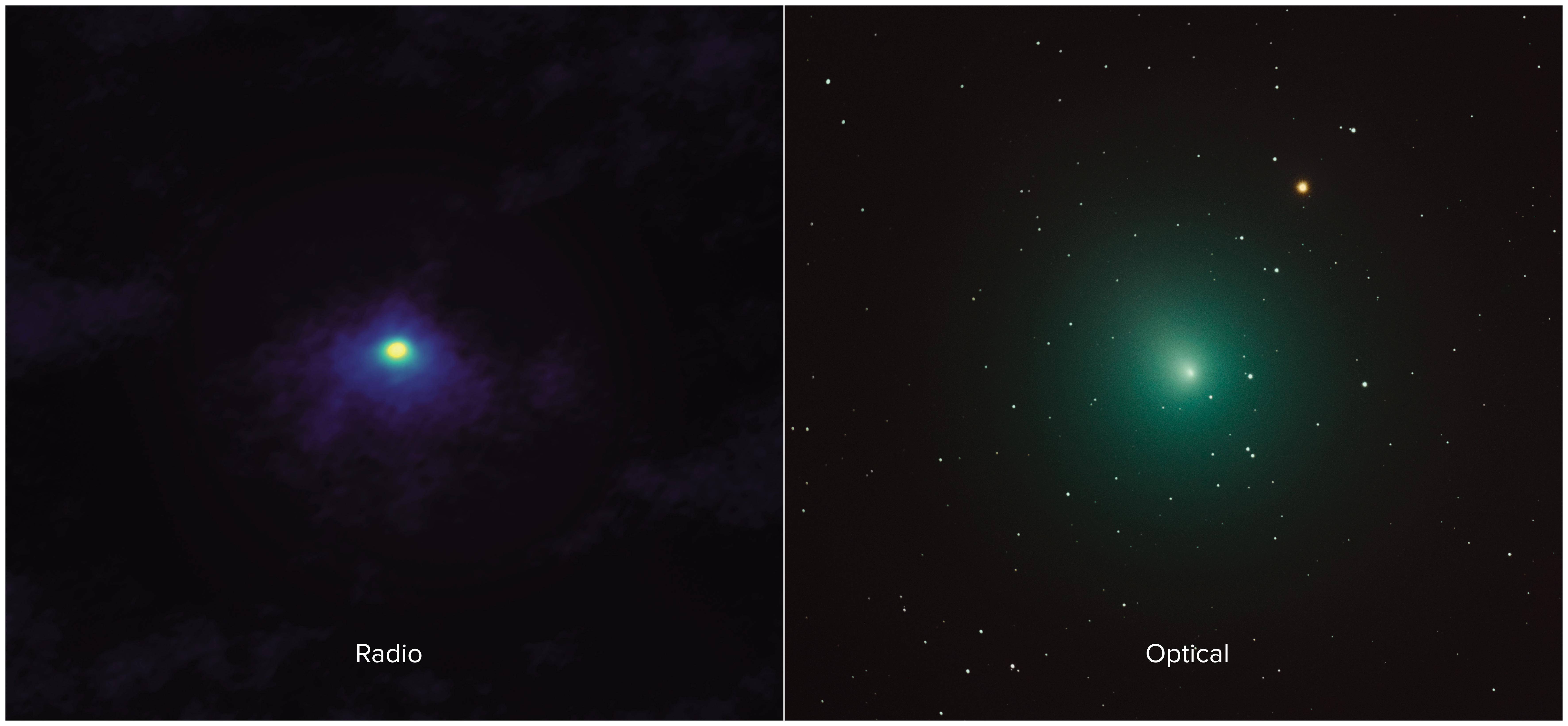 ニュース - アルマ望遠鏡で見たウィルタネン彗星 - アルマ望遠鏡