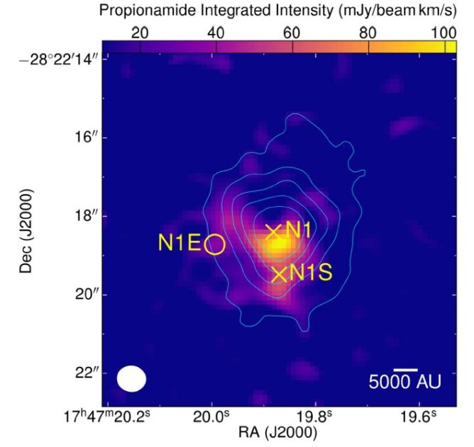 Star forming region: an rich reservoir of large organic molecules 