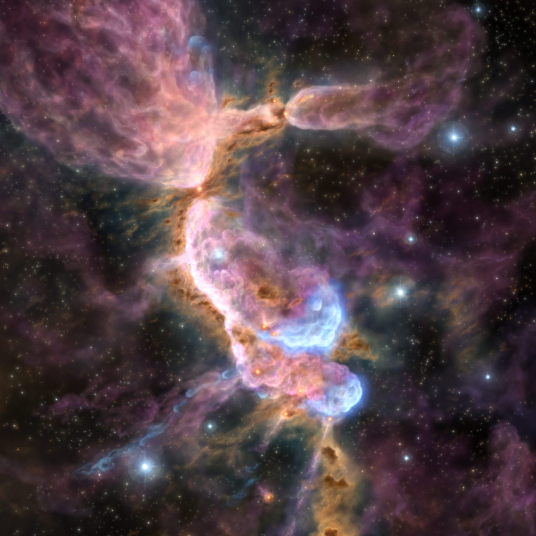 プレスリリース - 星のゆりかごを揺さぶる若い星からの産声 - アルマ望遠鏡