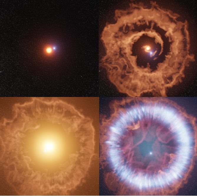 Resurrected Supernova Provides Missing-Link in Stellar Evolution