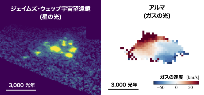 Fig1_Jpn
