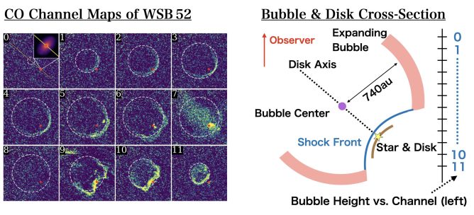bubble_fig1_eng_org
