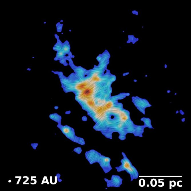 Fig1