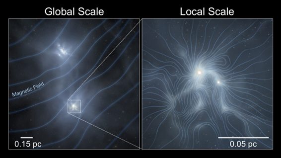 Fig2