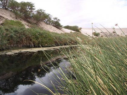 Waterscape