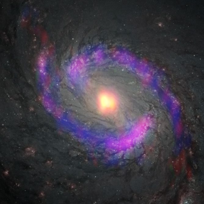 アルマ望遠鏡、巨大ブラックホール周囲に驚くほどマイルドな環境を発見