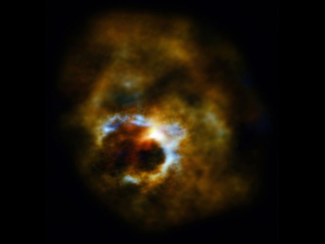 アルマ望遠鏡が描き出した、老齢の星ミラを取り囲む雲